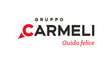 Gruppo Carmeli SpA